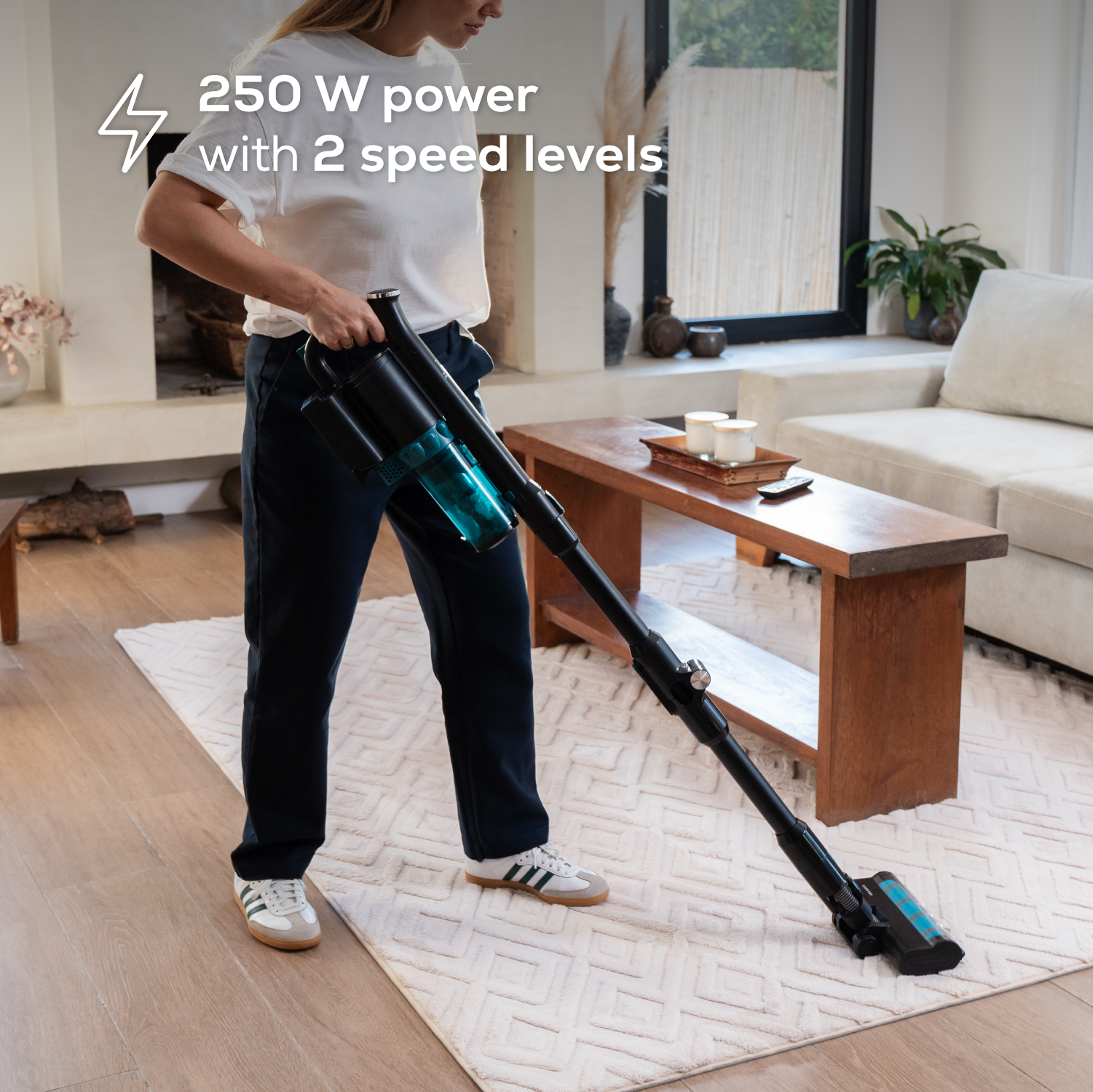 Image of Cordless Vacuum Cleaner Reims