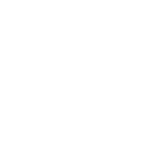 2 cleaning modes: Z-pattern navigation and spot cleaning