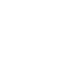 Gyroscopic oriented navigation system