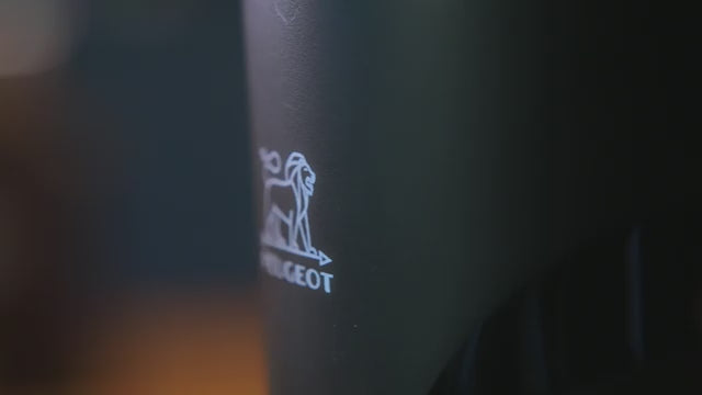 Peugeot Smart Living - Institucional