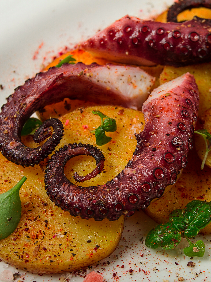 The all-new [La Rochelle]